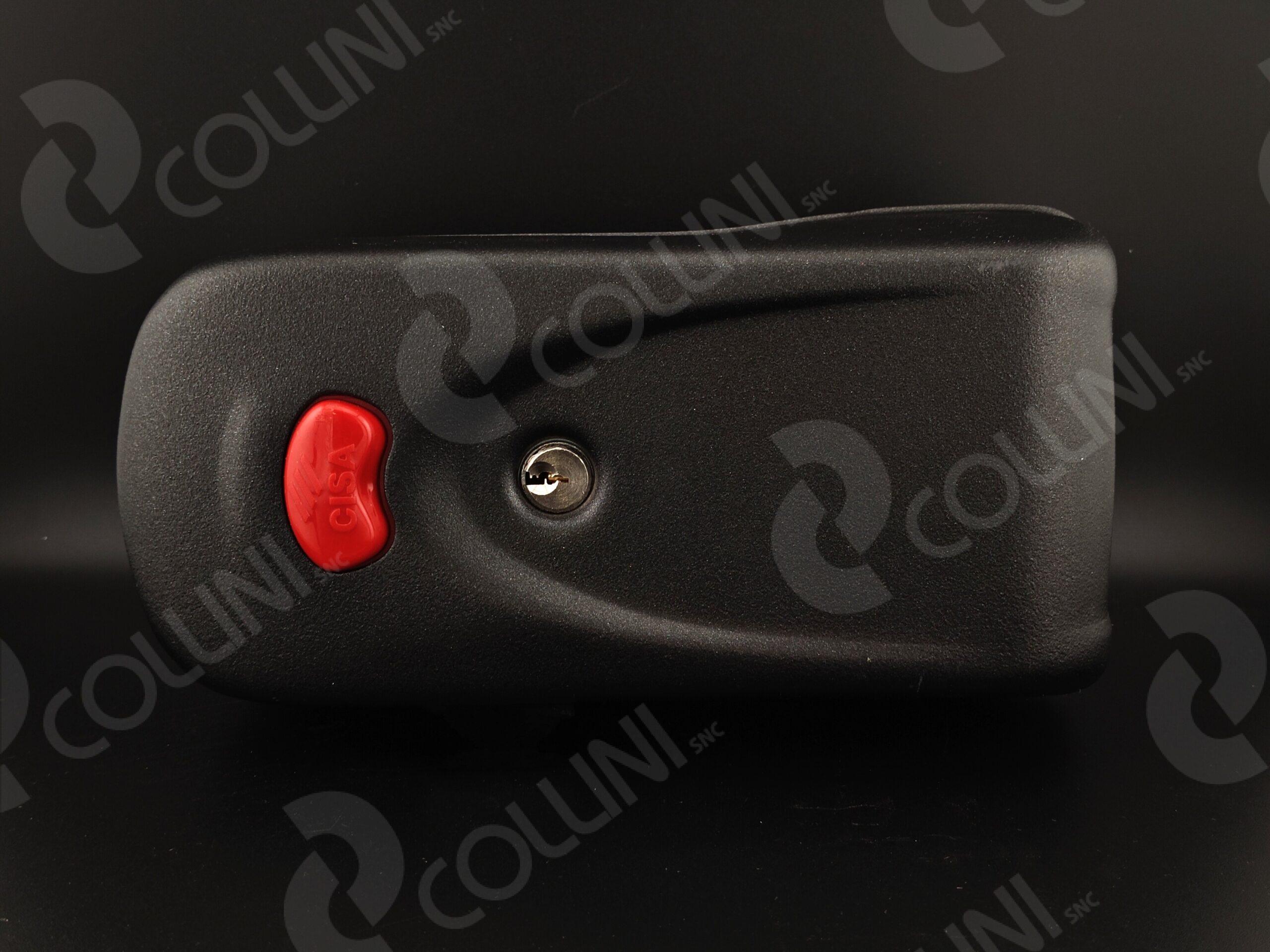 CISA Elettroserratura Per Cancelli E Portoni(Pulsante+Chiave)